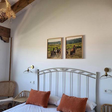 Pura Agro Vida Daire Galizano Oda fotoğraf